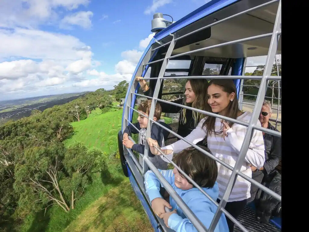 Arthurs Seat Eagle