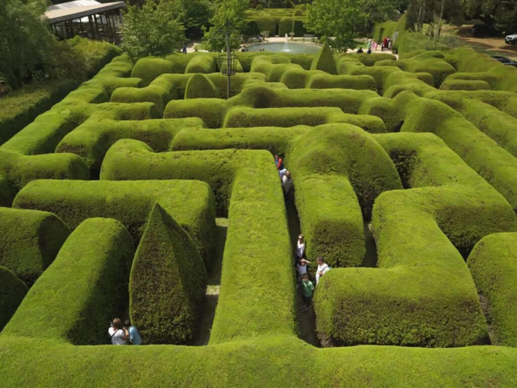 Ashcome Maze
