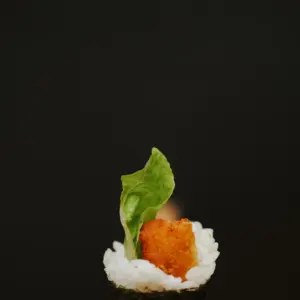 Dinner Chicken Katsu Teriyaki