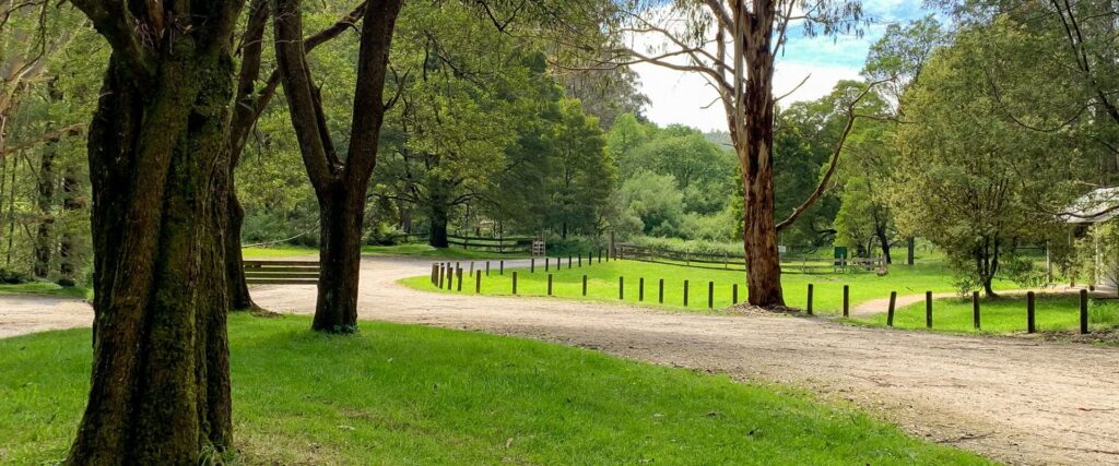Mount Worth State Park